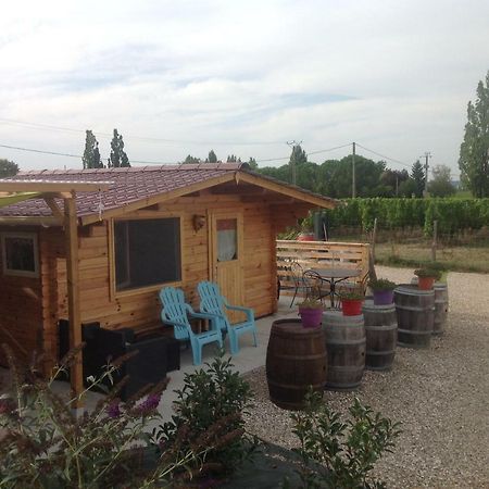Le Sang Des Vignes Bed & Breakfast Monbazillac Bagian luar foto